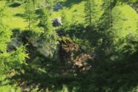 2015-07-01_1Pano-bei-Lacke (270).JPG